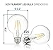 Hyperikon G25 LED Vintage Filament Bulb, Dimmable, 5W (40W Equivalent), 500 lumen, 2700K (Warm White), Medium Base (E26), CRI 80+, UL-Listed - (Pack of 6)