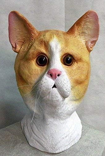 The Rubber Plantation TM 619219293518 Ginger & White Latex Cat Mask Feline Tabby Tom Animal Halloween Fancy Dress Costume Accessory, Unisex-Adult, One Size
