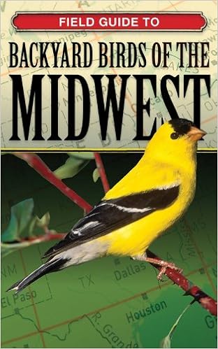 Field Guide To Backyard Birds Of The Midwest Backyard Birding Cool Springs Press 9781591860075 Amazon Com Books
