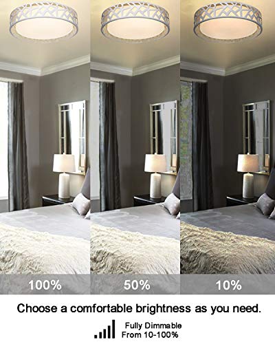 Flush Mount Light Fixture, VICNIE 12 inch 15W 1100 Lumens LED Ceiling Lights, Dimmable 3000K Warm White, ETL Listed for Kitchen, Hallway, Bedroom, Stairways (Metal Body and Acrylic Shade)
