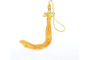 LEWOTE 2023 Graduation Tassel with Gold 2023 Year Charm for Grad Cap or Souvenir(Gold)