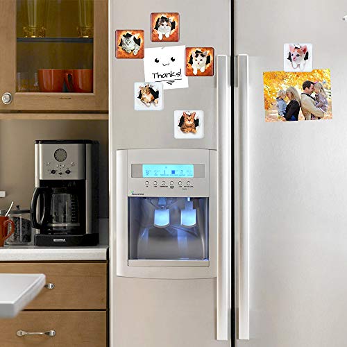 SUPCOOKI 6pcs Beautiful Glass Refrigerator Magnets 3D Cat Magnets Fun Funny Fridge Stickers Cute Home Decoration Funny for Office Cabinets Whiteboards Decorative Photo Abstract