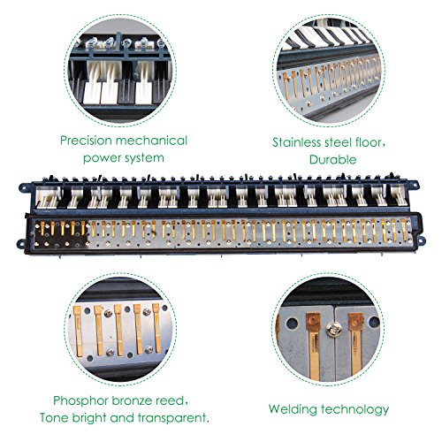 4 Mugig+Melodica+Available+Performance+Enlightenment