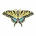 Yellow Swallowtail Butterfly Beaded Counted Cross Stitch Kit Mill Hill 2015 Spring Bouquet MH185104