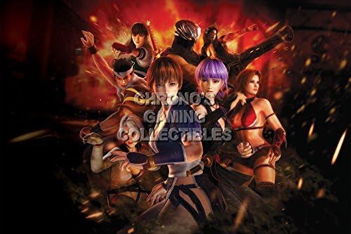 CGC Huge Poster - Dead or Alive - PS2 PS3 PS4 XBOX 360 ONE - DOA042 (24" x 36" (61cm x 91.5cm))