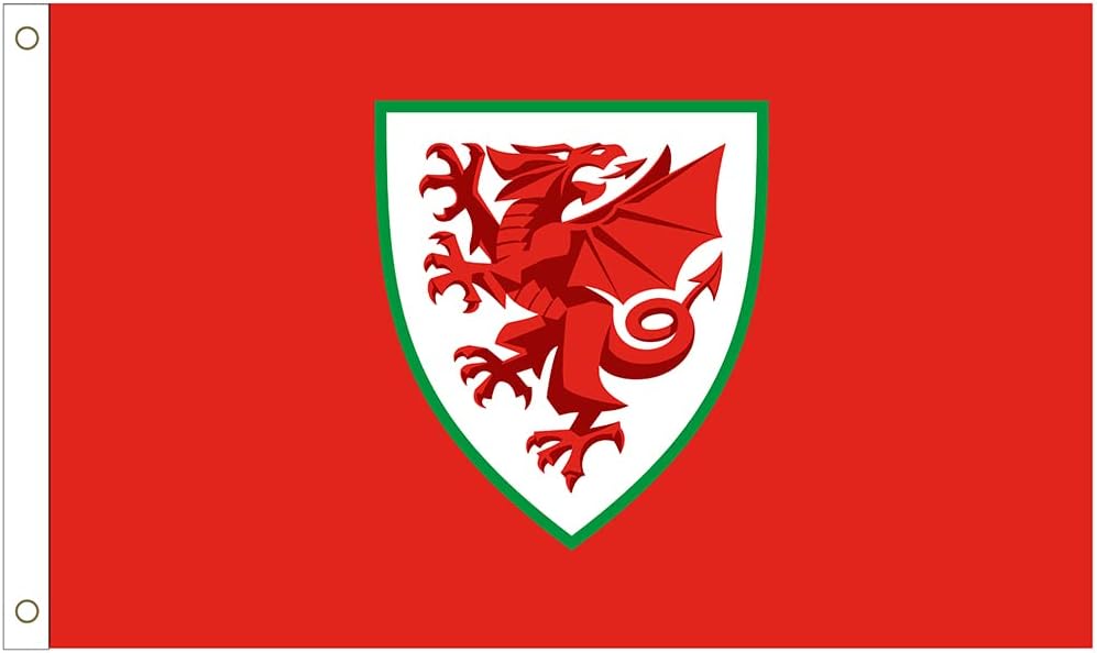 FOCO Wales Flag Banner Core Crest Flag Brand New Poster N/A