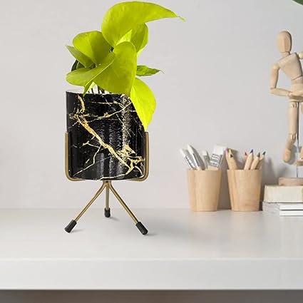 TrustBasket Jude Planter