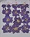 LoveDiyLife Purple Larkspur Real Pressed Dried Flowers