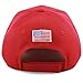 The Hat Depot Exclusive 45th President Trump Make America Great Again 3D Cap (Red-Flag)