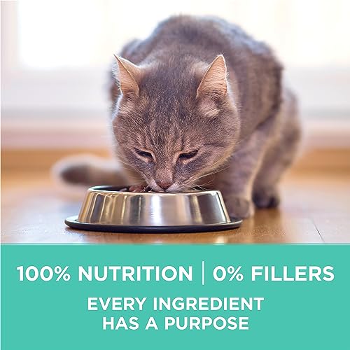 Purina ONE +Plus Dry Cat Food, Sensitive Systems Turkey - 1.8 kg Bag