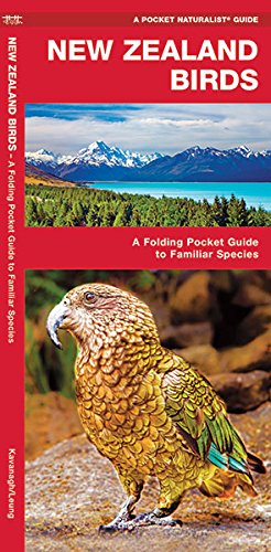 Download New Zealand Birds: A Folding Pocket Guide to Familiar Species (A Pocket Naturalist Guide)