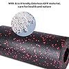 CSFLY-Foam-Roller-352-x-153-x-104-cm-for-Home-Workout-Massage-Roller-for-Stretching-Exercise-Back-Roller-Massager-Portable-Fitness-Equipment-Muscle-Roller-for-Pilates-Pain-Relief CSFLY Foam Roller 35.2 x 15.3 x 10.4 cm for Home Workout, Massage Roller for Stretching Exercise & Back Roller Massager…