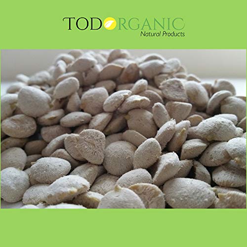 3 Pack Indian Nut 36 Seeds for Weight Loss original Nut,Indian seed - Thumbnail 6