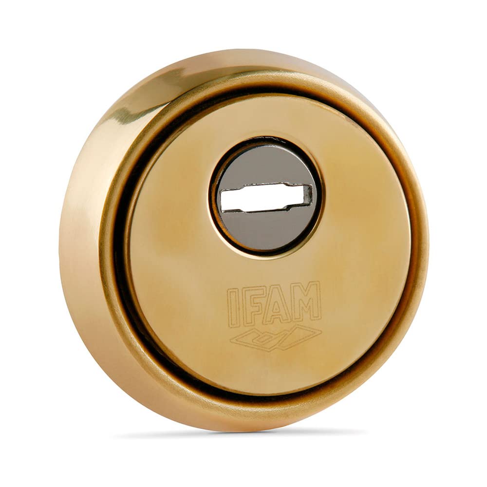 IFAM ES610 Lock Shield, Anti-Jaw and Anti Protection System, Steel Plate, Brass Color