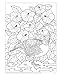 Birds at Home Coloring Book: 50 State Birds and Flowers (Design Originals) From Alabama's Camellia to Wyoming's Meadowlark with 24 Removable Cards, Common & Scientific Names, and 12 Inspiring Examples