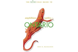 The ROM Field Guide to Amphibians and Reptiles of Ontario