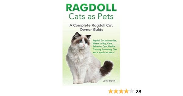 ragdoll cost
