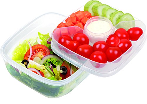 LOCK&LOCK HSM8440T Lock & Lock 32-Oz. Food Plastic Storage Container, 32 Ounce, Clear