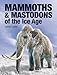 Mammoths and Mastodons of the Ice Age