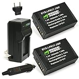 Wasabi Power Battery (2-Pack) and Charger for Canon LP-E17 and Canon EOS 77D, EOS 750D, EOS 760D, EOS 8000D, EOS M3, EOS M5, EOS M6, EOS Rebel T6i, EOS Rebel T6s, EOS Rebel T7i, Kiss X8i