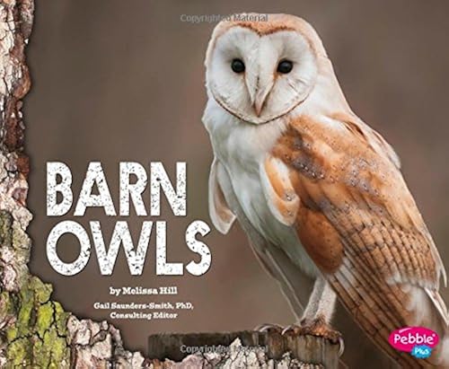 Download Barn Owls PDF
