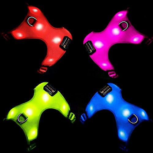 Vizpet Led Dog Harness USB Rechargeable Soft Mesh Adjustable Belt Collar Padded Lightweight Vest for Dogs Puppies Large (Rose Red)