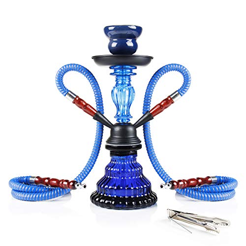 REANICE 11'' Handmade Shisha Glass Water Hookah Set with 2 Hose (Blue,Small)