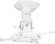 AMER Projector Mount - Universal Ceiling Bracket LCD DLP Tilt 360&deg; Swivel 30lbs (White)