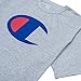 Champion Mens Shirt Big and Tall Mens T Shirts Active Crewneck T Shirt