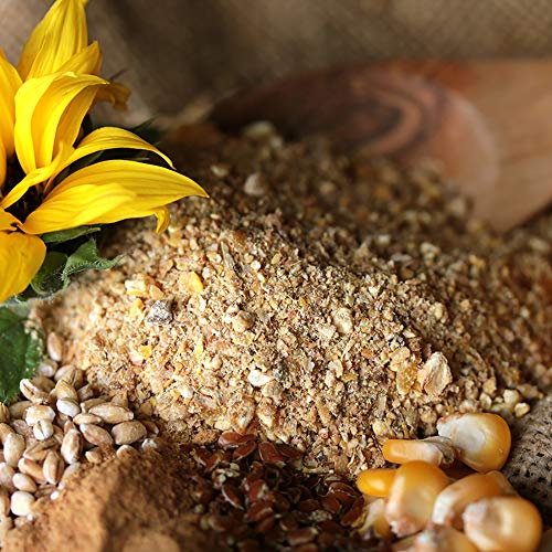 hühnergold® Hühner Legemehl 10 kg â Hochwertiges Alleinfuttermittel für Legehennen â Stabile Eierschalen, ohne Gentechnik, ohne Palmöl â Kontrollierte Herstellung – Bild 5