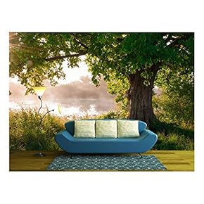 Oak Tree in Full Leaf in Summer Standing Alone