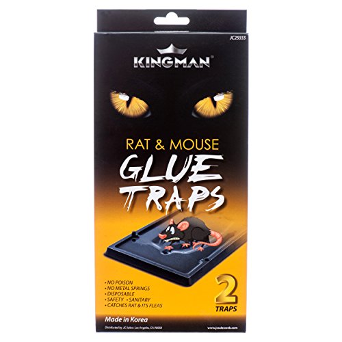 KINGMAN Mouse Trap Rat Trap Glue Trap/Board Rodent Trap Safe Easy Non-toxic (Large size) (1 Pack/2 Traps)