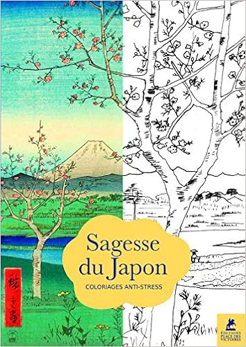 Sagesse Du Japon Coloriages Anti Stress Amazon Fr Collectif Livres