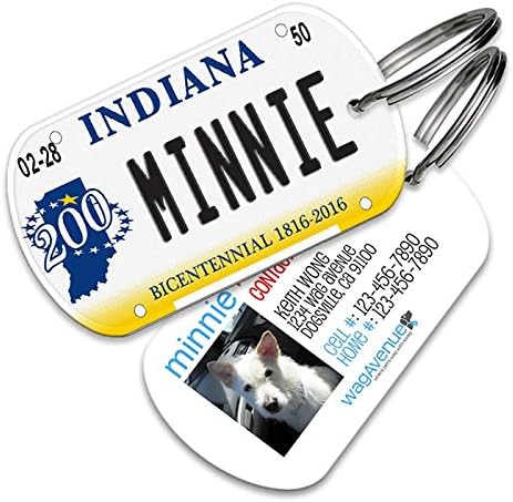 Dog License Plate Name Tag 2025