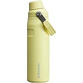 Stanley IceFlow Fast Flow Water Bottle 24 oz | Angled Spout Lid | Lightweight and Leakproof for Travel and Sports | Insulated Stainless Steel | BPA-Free | Pomelo