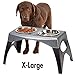 Coastal Pet - Maslow - Elevated Feeder - Single Pack, Grey and Black, X-Large