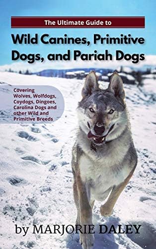 The Ultimate Guide To Wild Canines Primitive Dogs And Pariah Dogs An Owner S Guide Book For Wolfdogs Coydogs And Other Hereditarily Wild Dog Breeds By Daley Marjorie Amazon Ae The Ultimate Guide To Wild Canines Primitive Dogs And Pariah Dogs An Owner S Guide Book For Wolfdogs Coydogs And Other Hereditarily Wild Dog Breeds By Daley Marjorie Amazon Ae