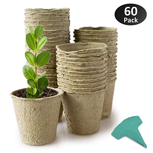 GROWNEER 60 Packs 3 Inch Peat Pots Plant Starters for Seedling, Biodegradable Herb Seed Starter Pots Kit, Garden Germination Nursery Pots with 15 Pcs Plant Labels