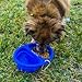 Serene Pet Collapsible Dog Bowls - 2-in-1 for Food and Water, With Carabiner, Travel Dog Bowl for Medium and Large Size Pets, Food Grade Silicone, FDA Approved, Big Cat Dish