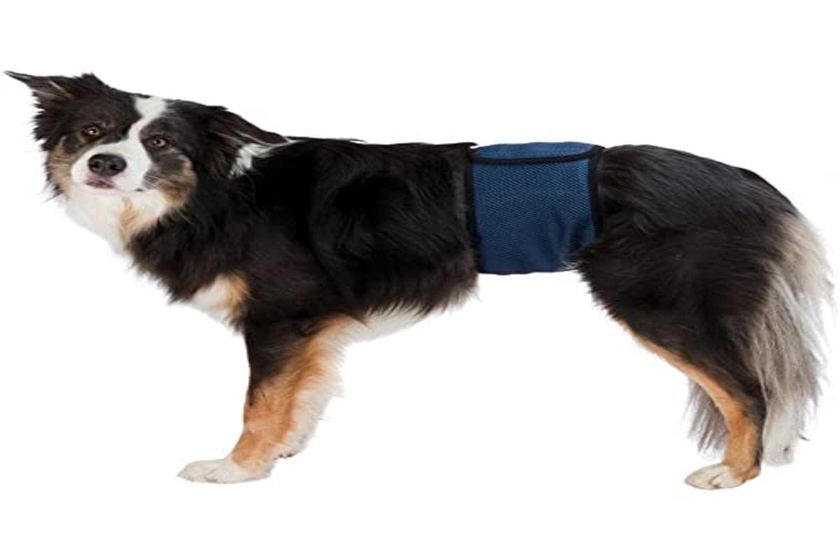 Trixie Belly band for male dogs
