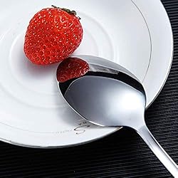 Dinner Spoon of 6, Berglander 7.5" Stainless Steel