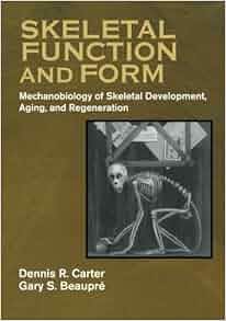 Skeletal Function And Form Mechanobiology Of Skeletal