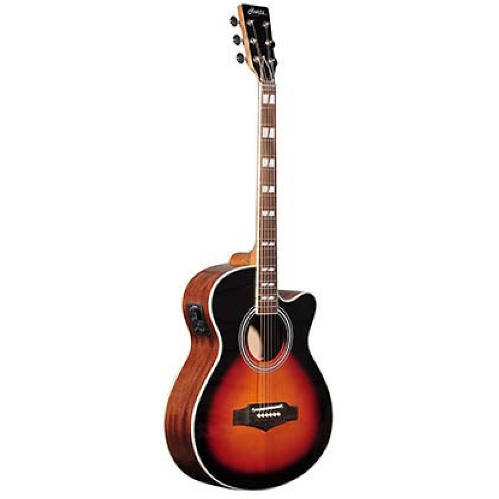 Hertz HZA4010 Acoustic Guitar Amazon.in Electronics