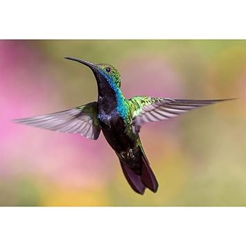 Brin De Fantaisie Broderie Petit Petit Oiseau