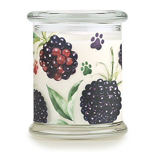 One Fur All - 100% Natural Soy Wax Candle, 20 Fragrances - Pet Odor Eliminator, Up to 60 Hours Burn Time, Non-Toxic, Eco-Friendly Reusable Glass Jar Scented Candles – Pet House Candle, BlackBerry Tea - Thumbnail 2