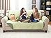 Elaine Karen Premium Reversible Sofa Couch Slipcover Furniture Protector, Quilted, Anti-Slip 2 Inch Strap, Machine Washable, Slip Cover Throw for Pets, Dogs, Cats, Kids,-Olive/Sage