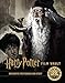 Harry Potter: Film Vault: Volume 11: Hogwarts Professors and Staff by