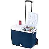 rubbermaid 75 quart cooler