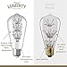 Lumenty ST64 Starry Night 3W Decorative LED Light Bulb - Fireworks Design E26 Base - Vintage Edison Style Bulbs for Pendant Lighting - Romantic Warm White 2300K - Dimmable