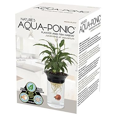 Penn Plax Aquaponic Betta Fish Tank Promotes Healthy Environment for Plants and Fish .5 Gallon Capacity